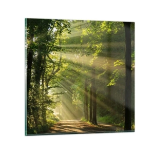 Obraz na szkle - Leśna chwila - 60x60 cm