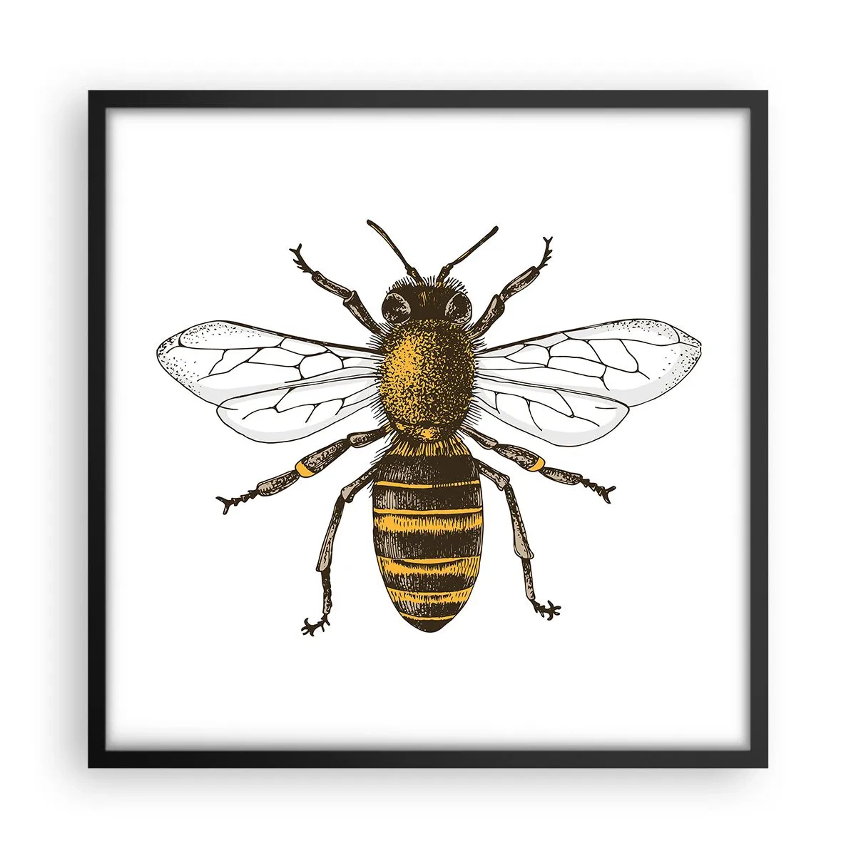 Plakat w czarnej ramie - Piękna i dobra - 50x50 cm