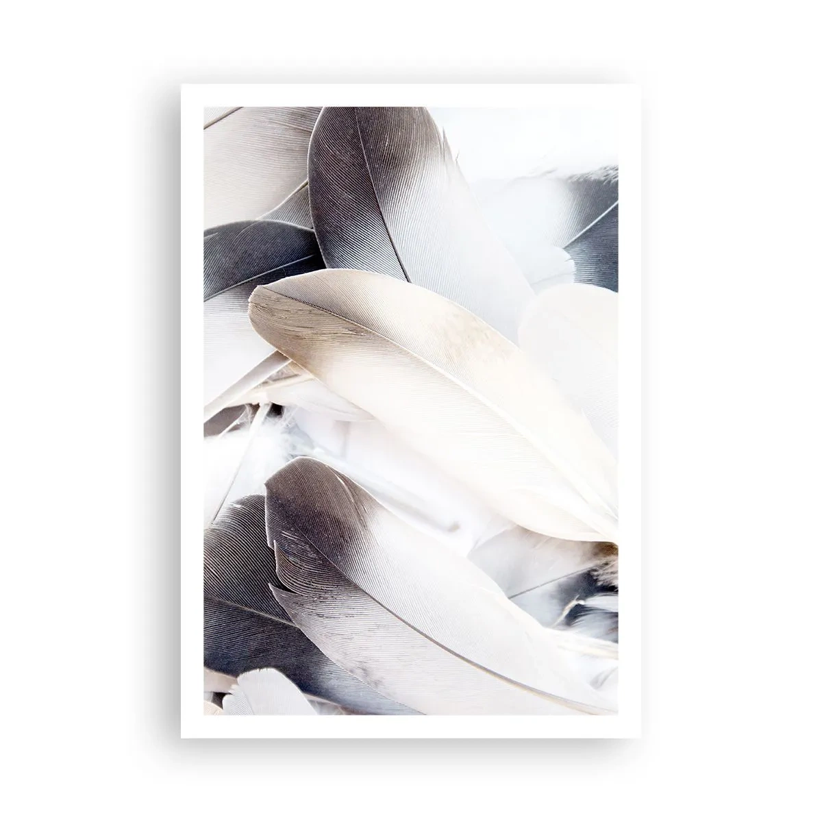 Plakat - Niemal anielskie - 70x100 cm
