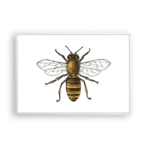 Plakat w białej ramie - Piękna i dobra - 100x70 cm