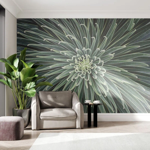 Fototapeta Premium Sand - Narodziny gwiazdy - Kwiat Agawy, Agawa, Kwiaty - 400x280 cm