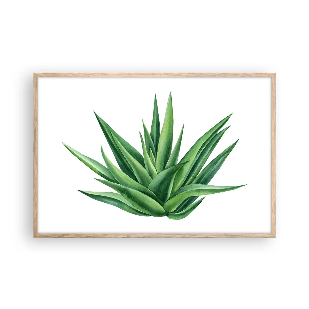 Plakat w ramie jasny dąb - Zieleń – siła – życie - 91x61 cm