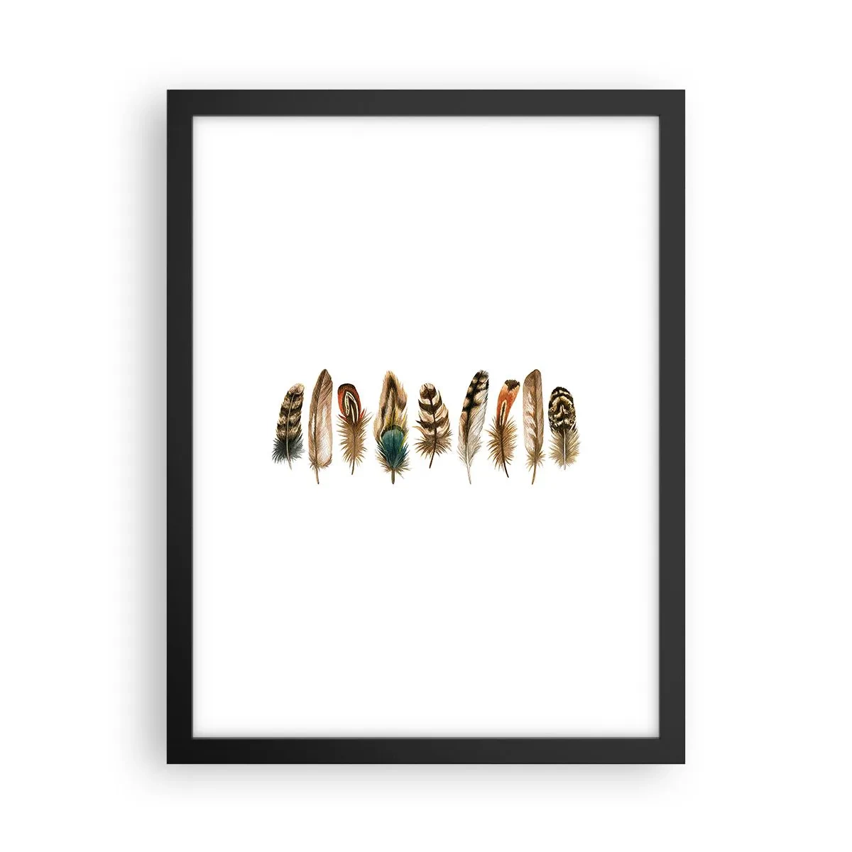 Plakat w czarnej ramie - Pierzasta wariacja - 30x40 cm
