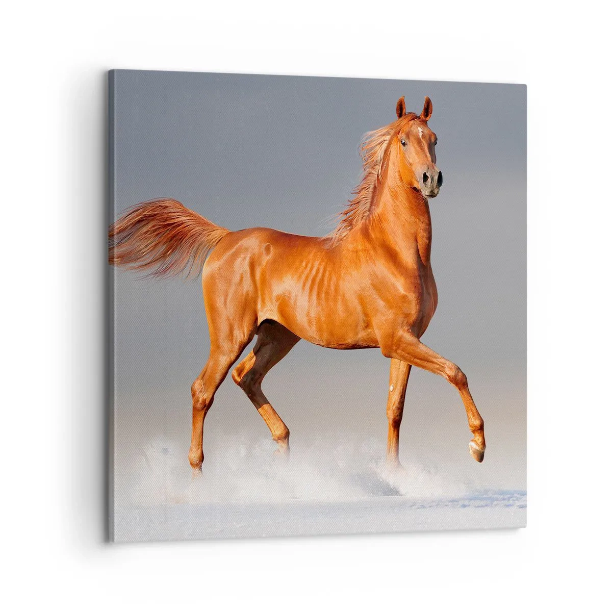 Obraz na płótnie - Tańcząca gracja - 60x60 cm