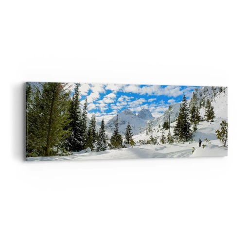 Obraz na płótnie - W śniegu i w słońcu - 90x30 cm