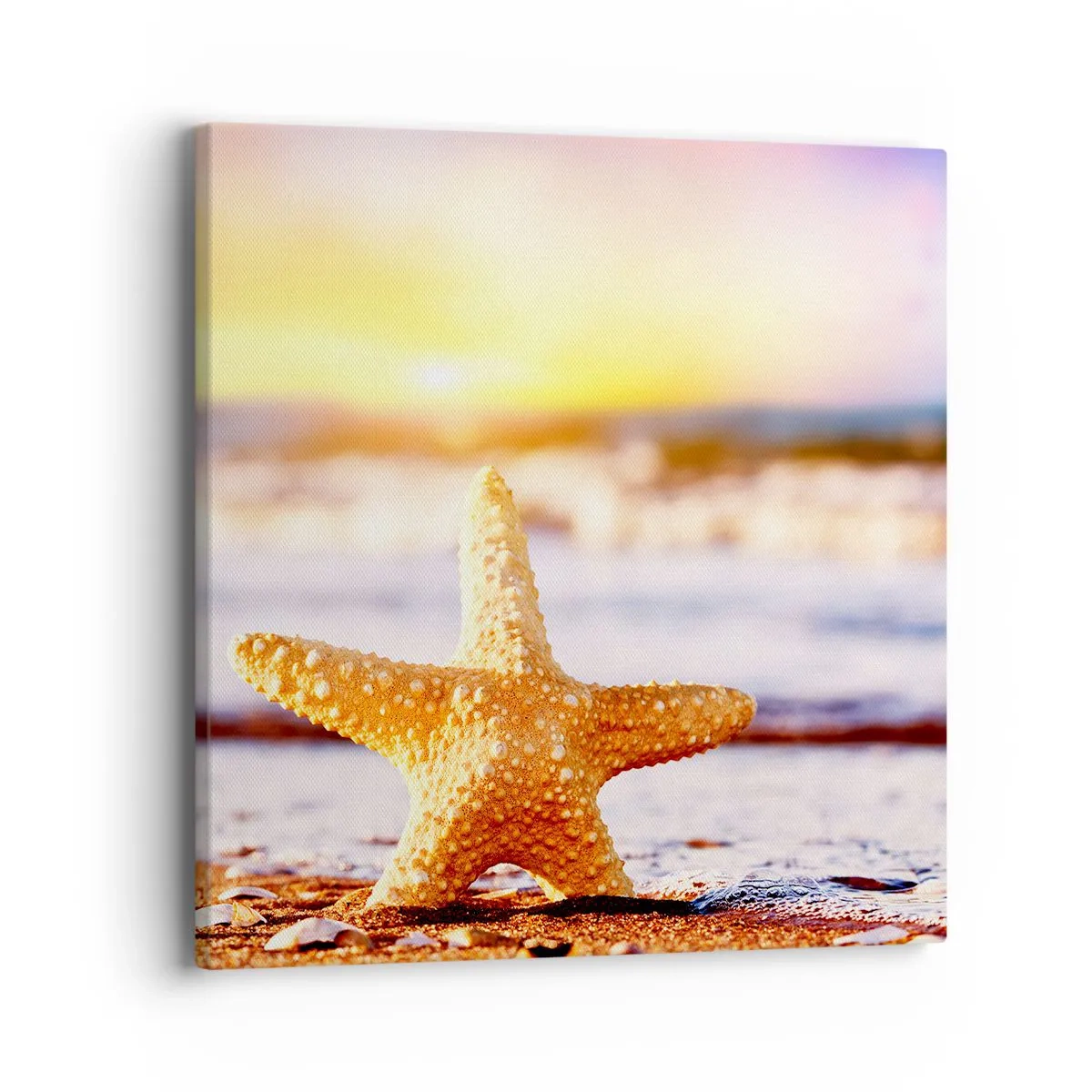 Obraz na płótnie - Morski podarunek - 40x40 cm