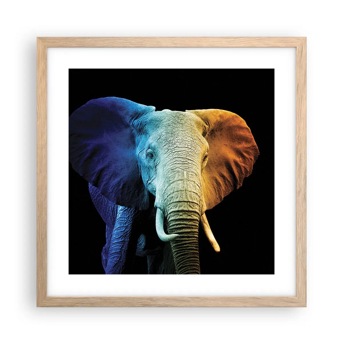 Plakat w ramie jasny dąb - Ekscentryk, nie dziwak - 40x40 cm