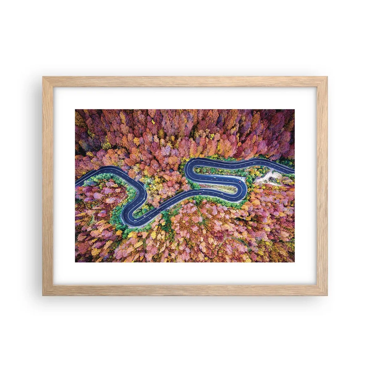 Plakat w ramie jasny dąb - Krętą drogą poprzez las - 40x30 cm