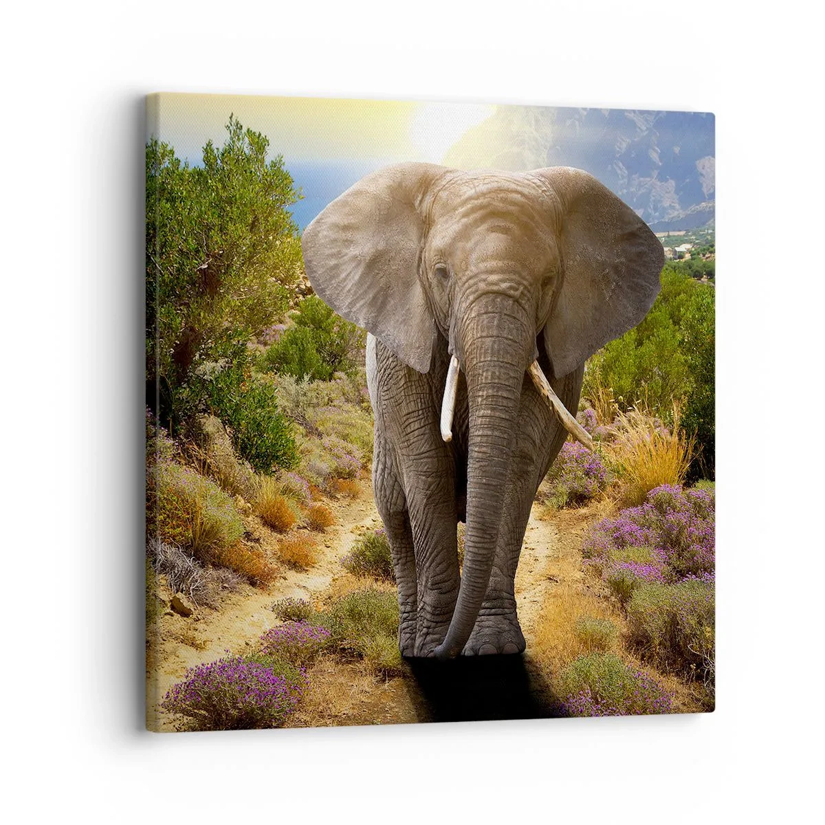 Obraz na płótnie - Tak wyglądał Eden - 30x30 cm