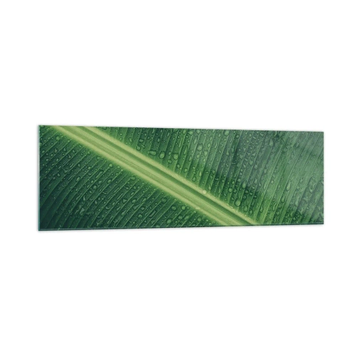 Obraz na szkle - Zielony liść z kroplami wody na powierzchni - 160x50cm - Struktura zieleni - Nowoczesna dekoracja ścienna do salonu i sypialni ARTTOR