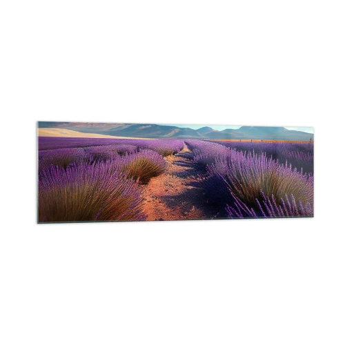 Obraz na szkle - Lawendowe pole z widokiem na góry i błękitne niebo - 160x50cm - Pachnące pola - Nowoczesna dekoracja ścienna do salonu i sypialni ARTTOR