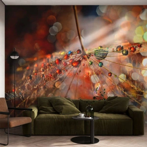 Fototapeta Standard Eco - Nanizane na pajęczą nić - Abstrakcja, Pajęczyna, Sztuka - 200x140 cm