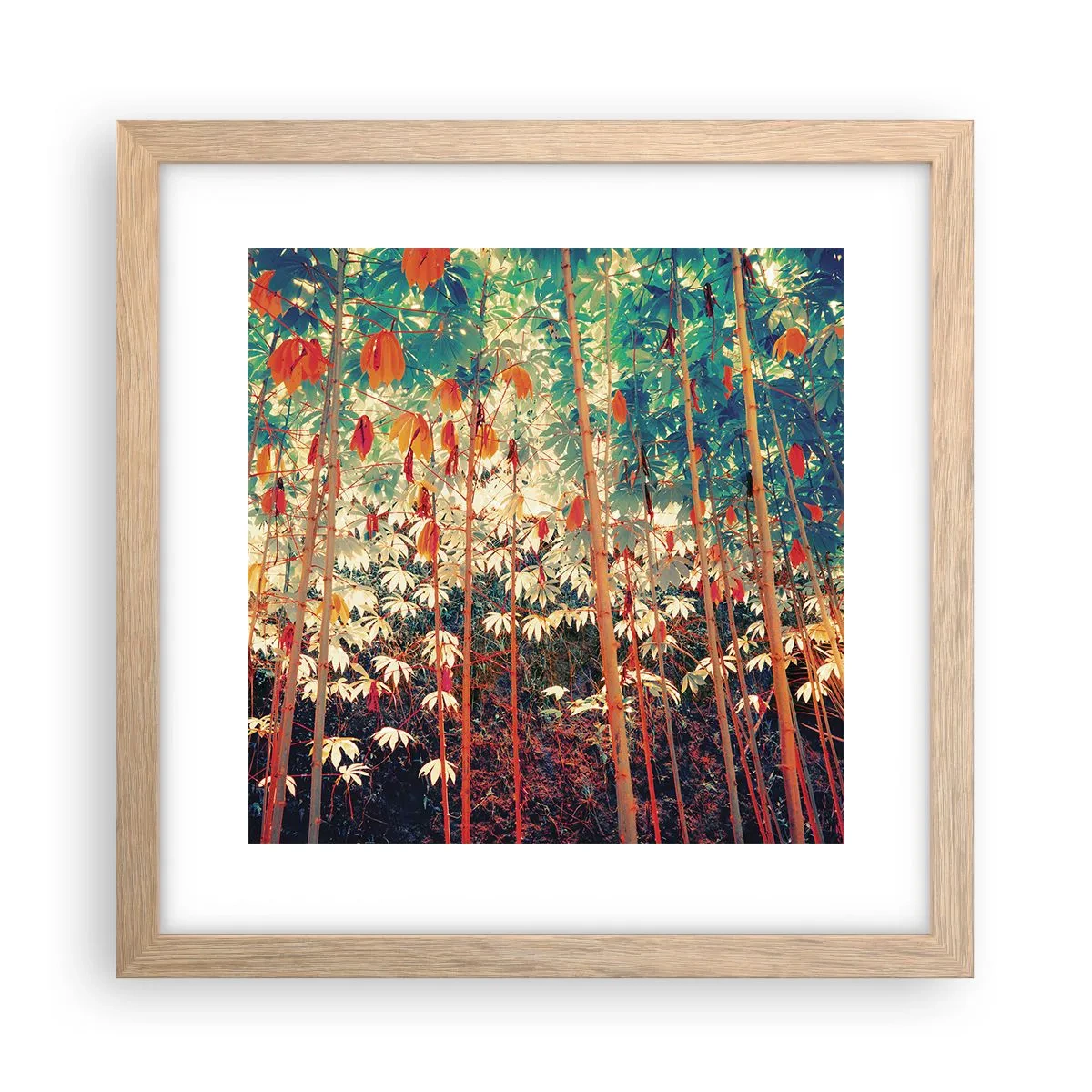 Plakat w ramie jasny dąb - Tajemne życie liści - 30x30 cm