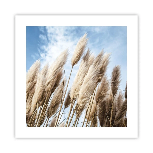 Plakat - Słoneczna i wietrzna pieszczota - 40x40 cm