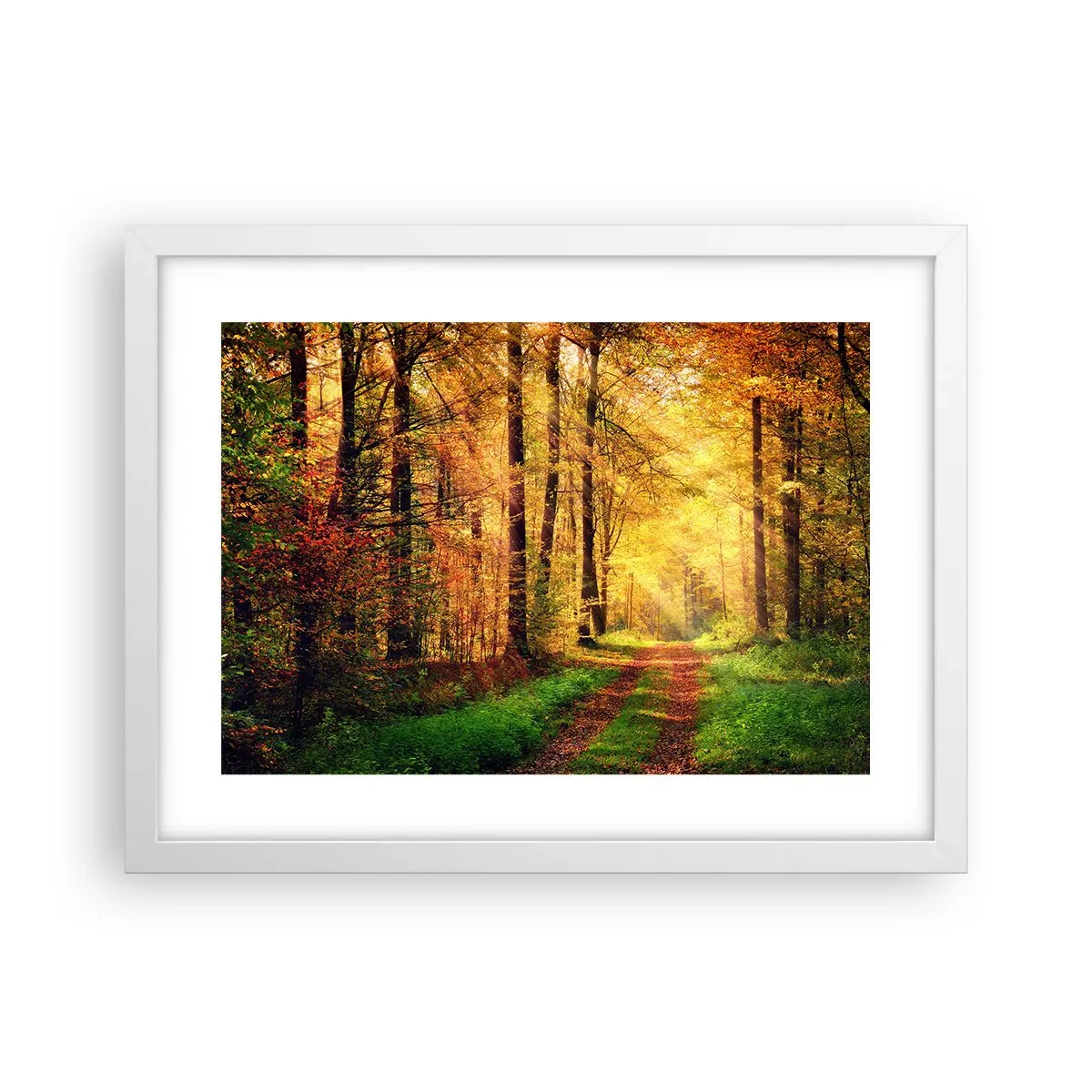 Plakat w białej ramie - Leśno-złota cisza - 40x30 cm