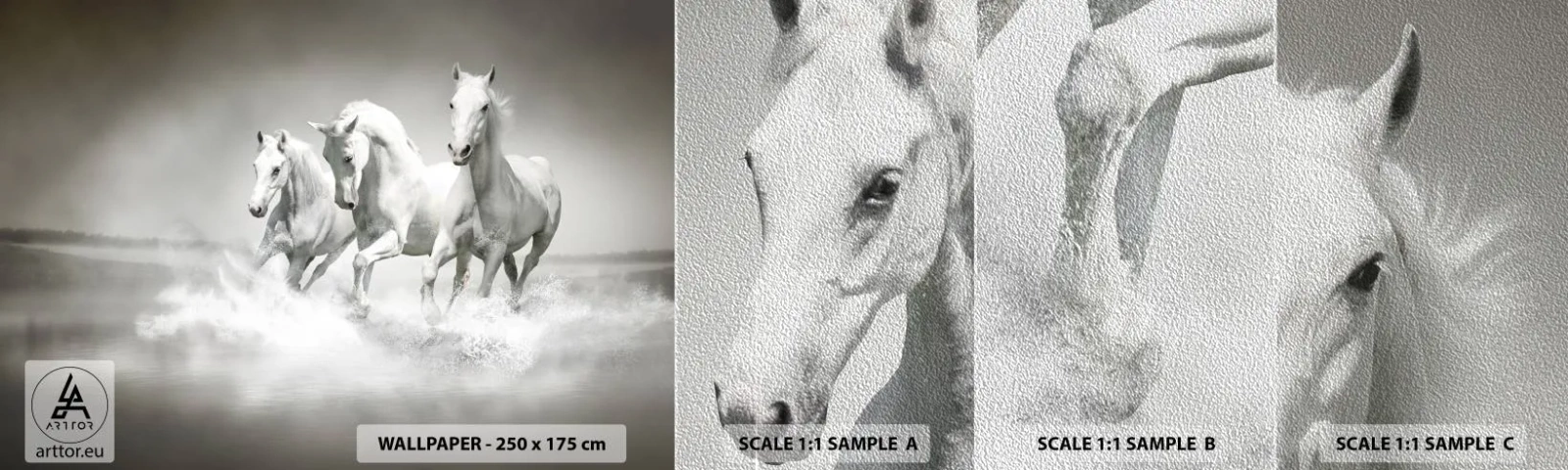 Fototapeta Próbka Premium Sand - Białe szaleństwo - Zwierzęta, Konie, Natura - 100x30 cm