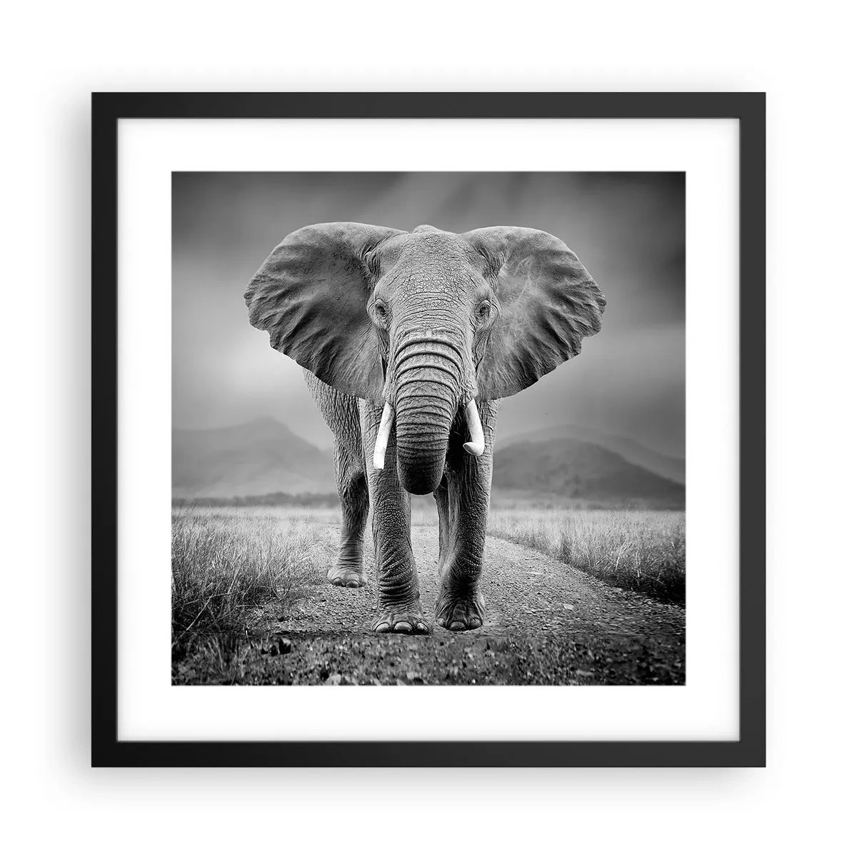 Plakat w czarnej ramie - Gospodarz wita - 40x40 cm