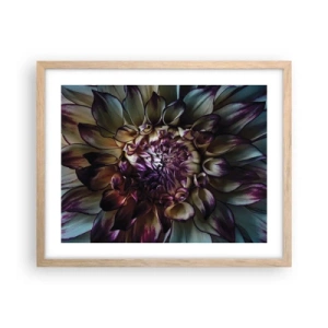 Plakat w ramie jasny dąb - Rozkwit młodości - 50x40 cm