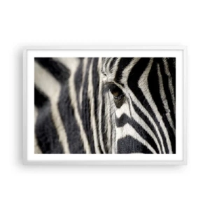 Plakat w białej ramie - Portret w paski - 70x50 cm
