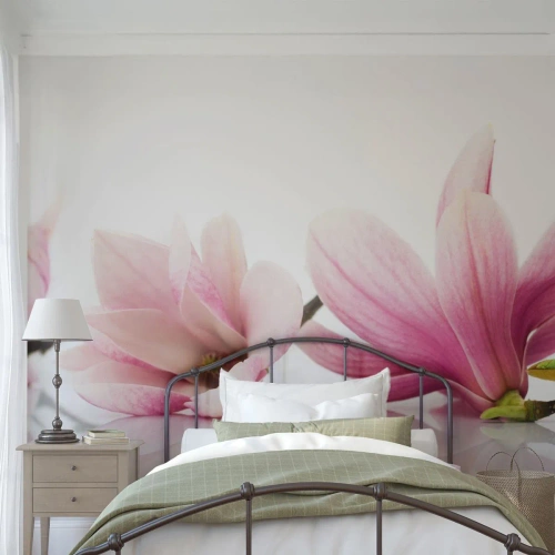 Fototapeta Premium Sand - Delikatne jak powiew wiosny - Kwiat, Magnolia, Natura - 400x280 cm