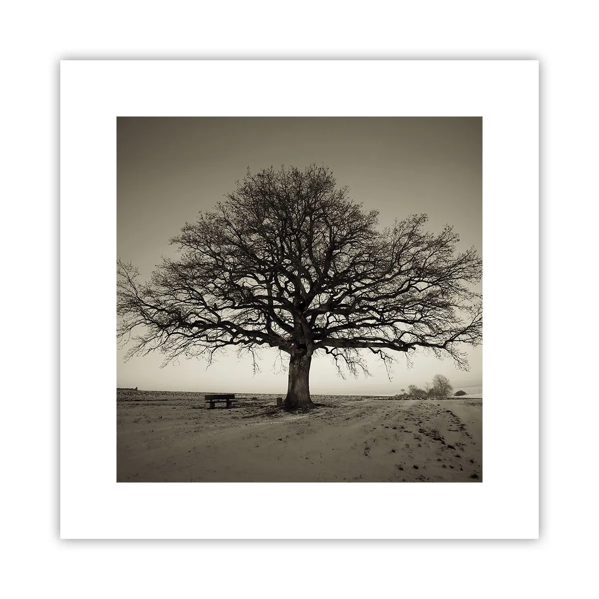 Plakat - Stąd do wieczności - 30x30 cm