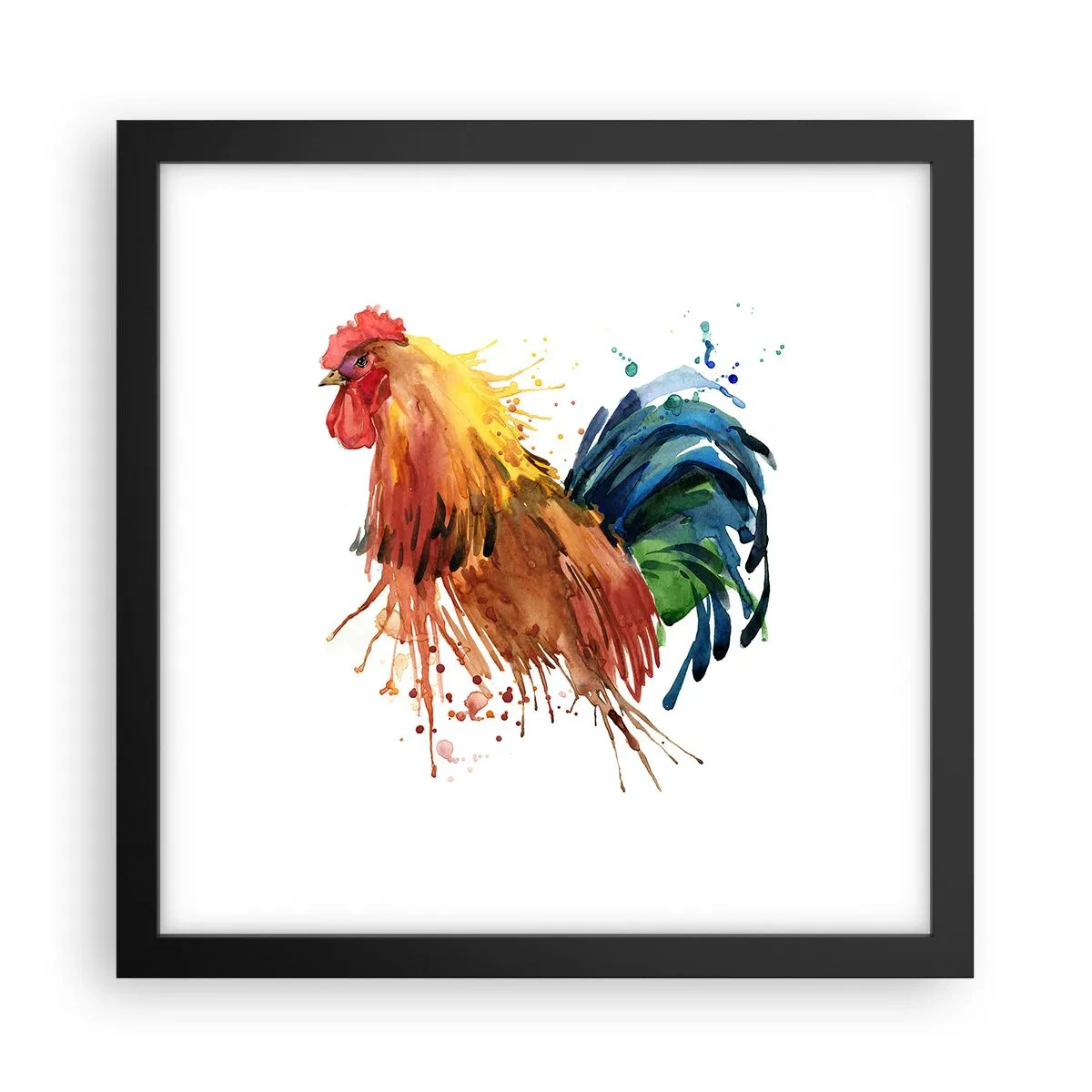 Plakat w czarnej ramie - Królewska szata, królewska duma - 30x30 cm