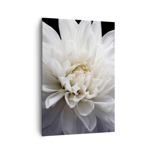 Obraz na płótnie - Delikatny biały kwiat na czarnym tle w eleganckiej kompozycji - 70x100cm - Poranek Panny Młodej - Nowoczesna dekoracja ścienna do salonu i sypialni ARTTOR