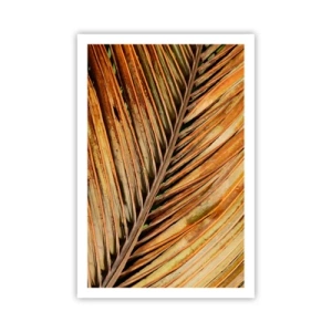Plakat - Kokosowe złoto - 61x91 cm