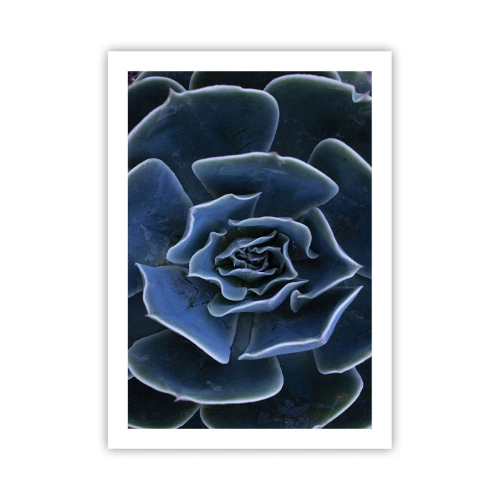 Plakat - Artystyczne zbliżenie na geometryczny wzór sukulentu - 50x70cm - Kwiat pustyni - Nowoczesna dekoracja ścienna do salonu, kuchni i sypialni ARTTOR
