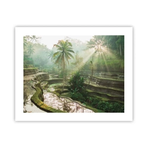 Plakat - Dorastać w słońcu - 50x40 cm