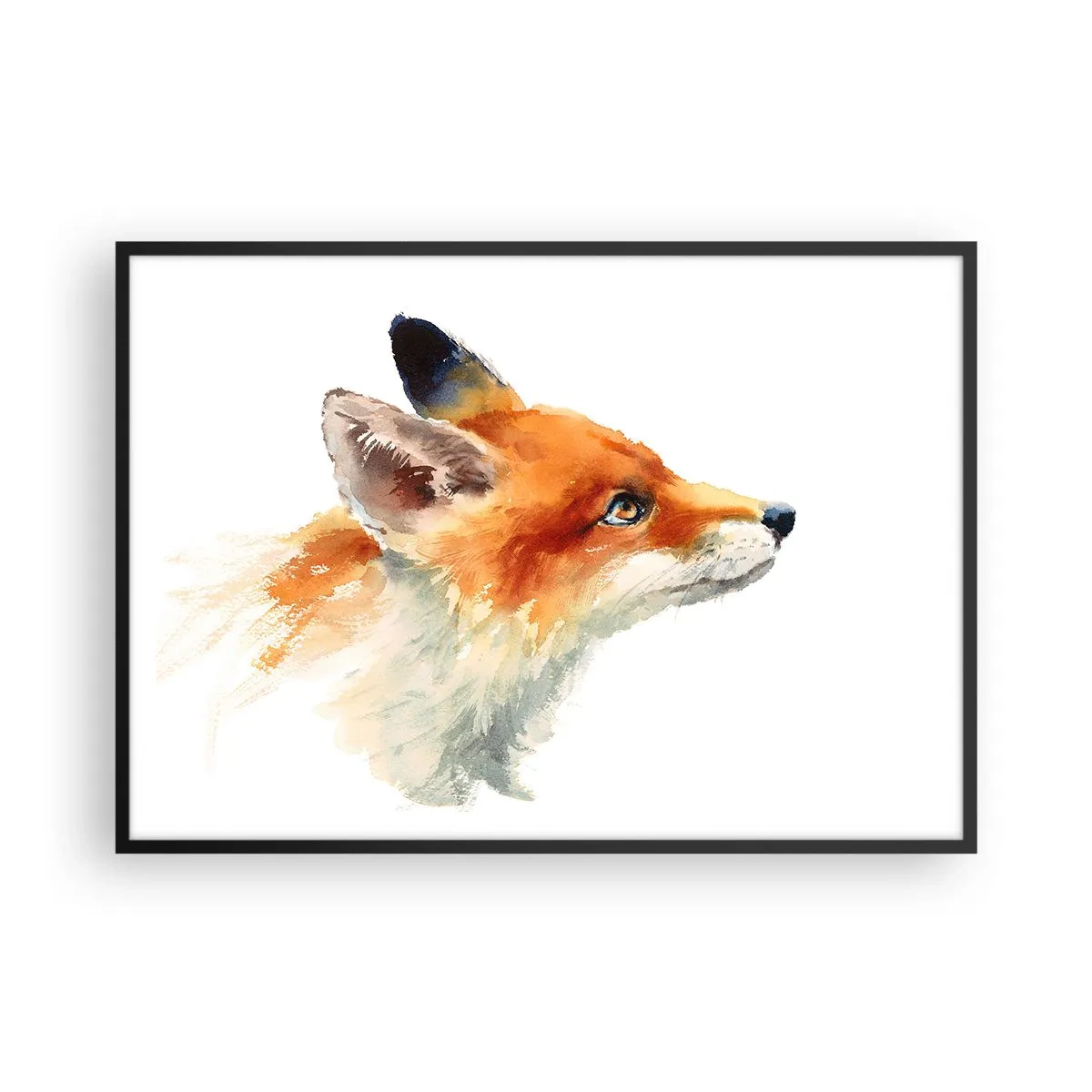 Plakat w czarnej ramie - Rudy lis w akwarelowym stylu na białym tle - 100x70cm - Ostrożności nigdy za wiele - Nowoczesna dekoracja ścienna do salonu i sypialni ARTTOR