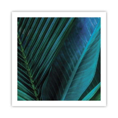 Plakat - Anatomia zieleni - 60x60 cm