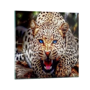 Obraz na szkle - Złość piękności nie szkodzi - 30x30 cm