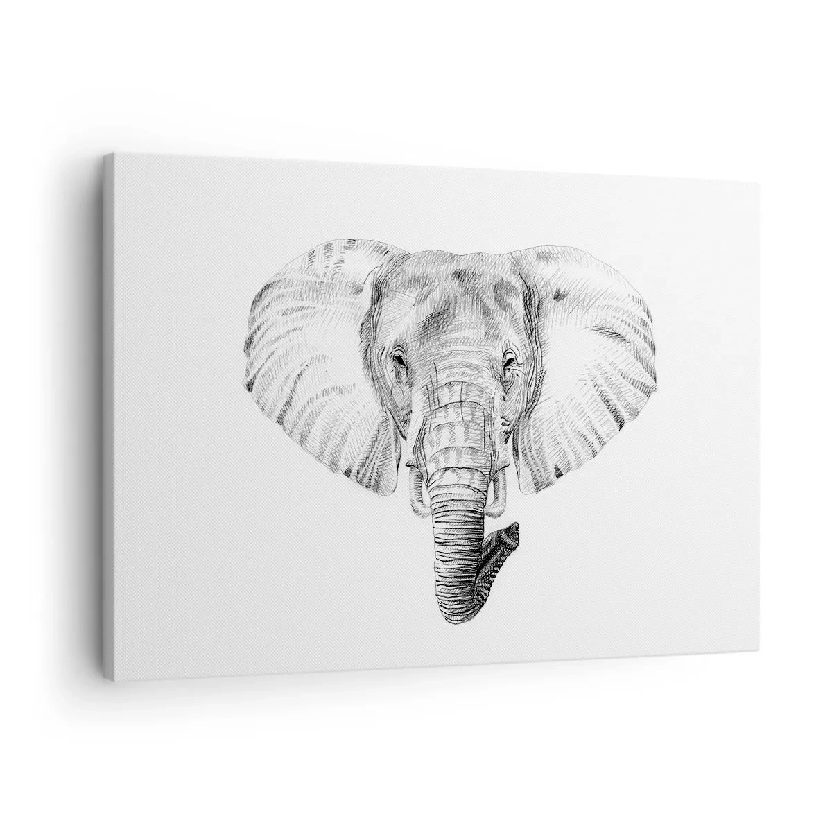 Obraz na płótnie - Czarno-biały rysunek głowy słonia na białym tle - 70x50cm - "Był sobie słoń, wielki jak - słoń" - Nowoczesna dekoracja ścienna do salonu i sypialni ARTTOR
