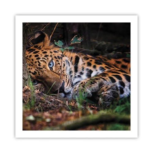 Plakat - Zaufaj mi - 60x60 cm