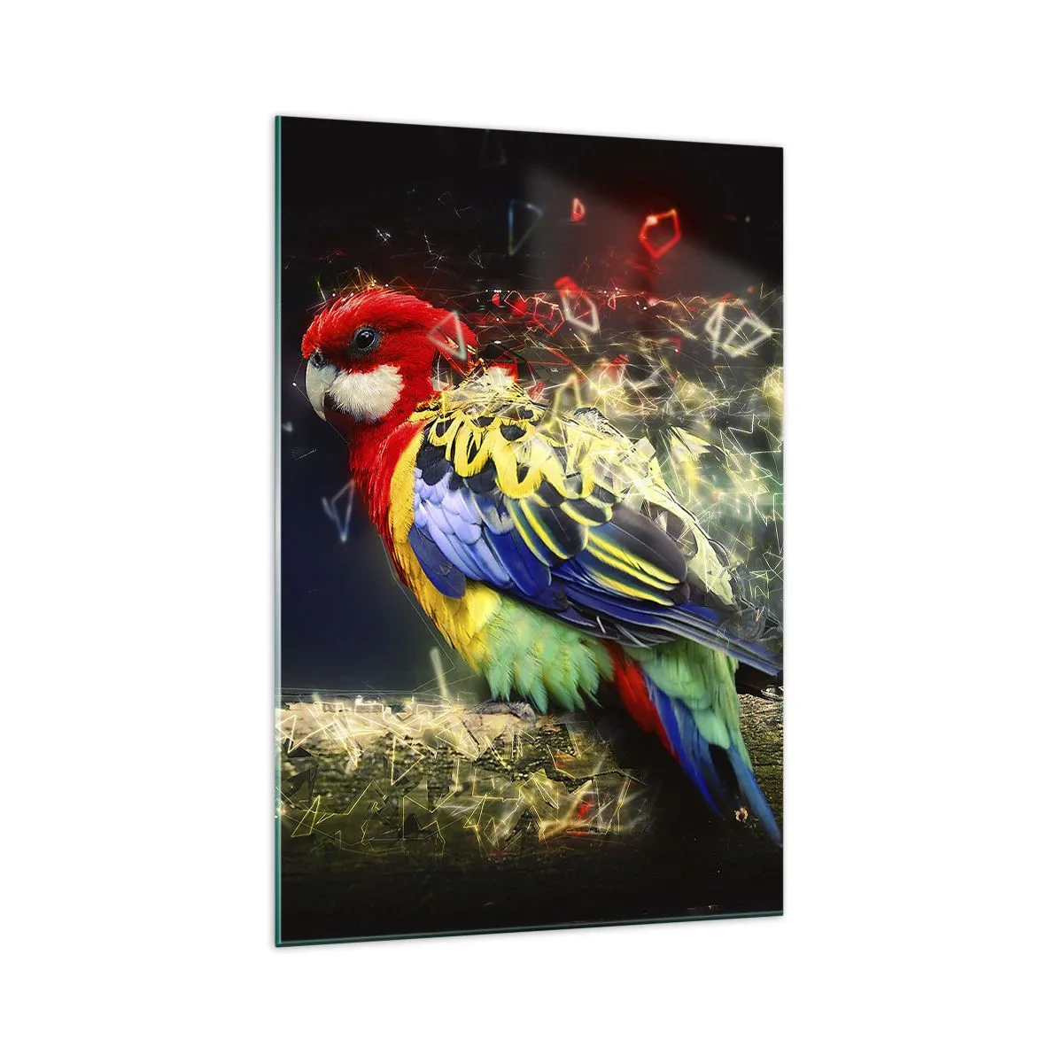 Obraz na szkle - Papuga w żywych kolorach na tle efektów świetlnych - 70x100cm - Posłaniec blasku - Nowoczesna dekoracja ścienna do salonu i sypialni ARTTOR