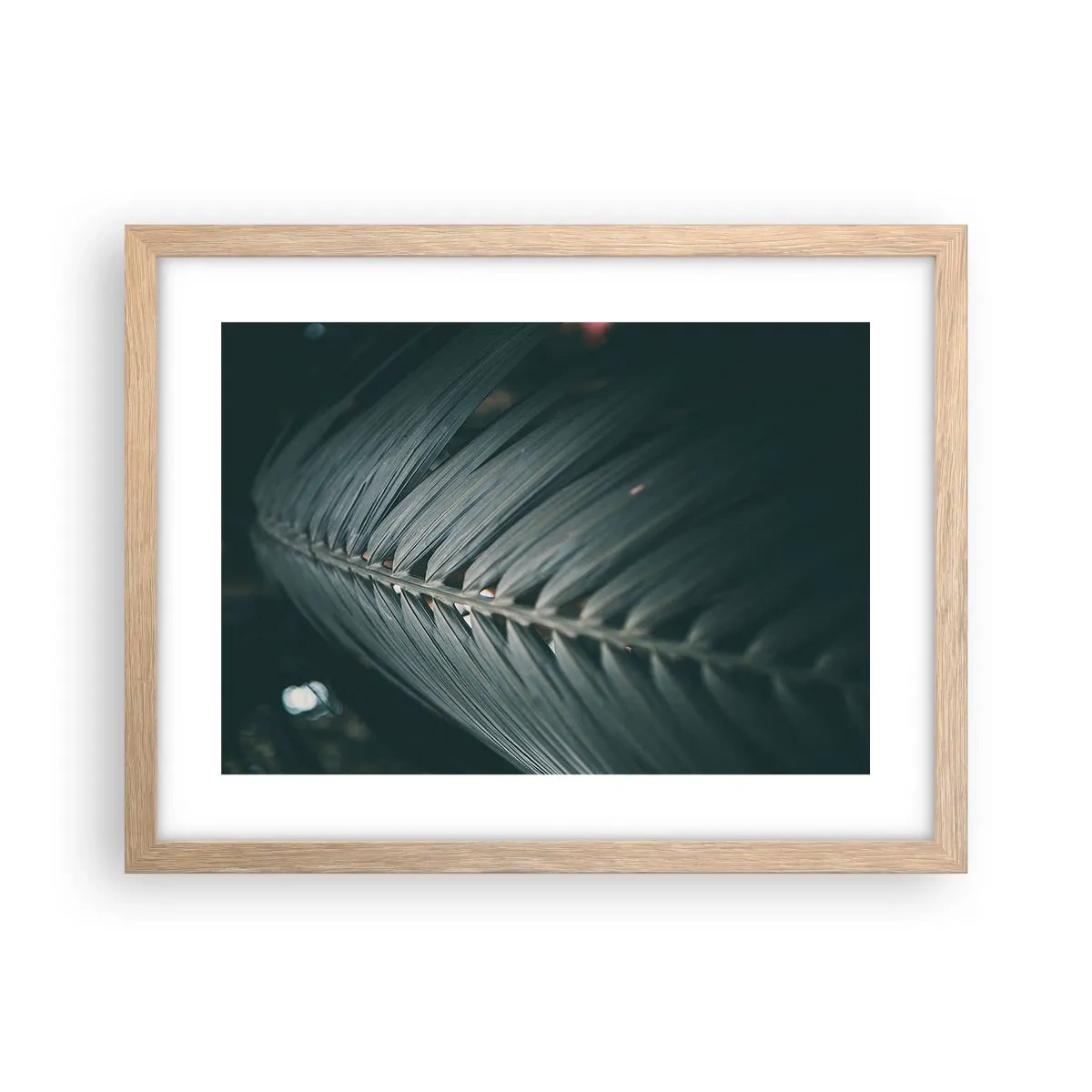 Plakat w ramie jasny dąb - Precyzja natury - 40x30 cm