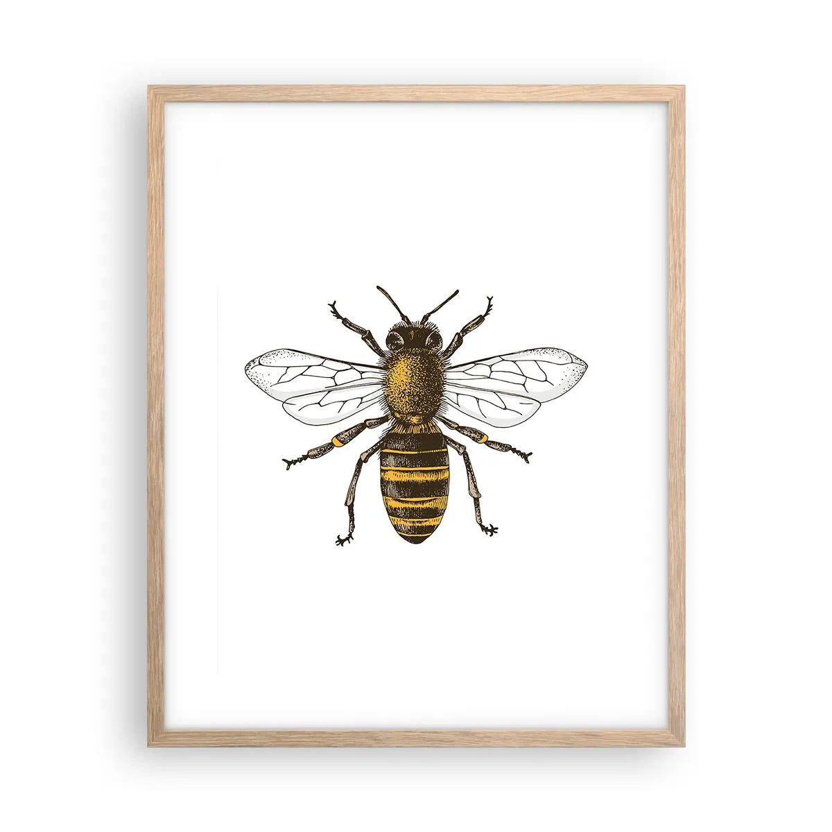 Plakat w ramie jasny dąb - Piękna i dobra - 40x50 cm