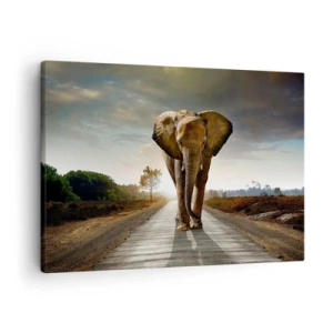 Obraz na płótnie - Słoń kroczący drogą wśród krajobrazu o zachodzie słońca - 70x50cm - I wcale nie w składzie porcelany - Nowoczesna dekoracja ścienna do salonu i sypialni ARTTOR