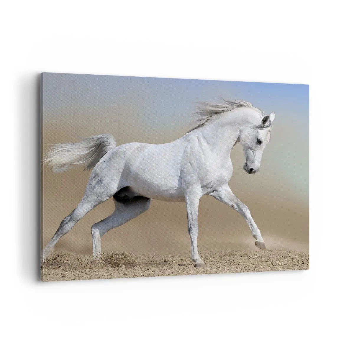 Obraz na płótnie - Biały koń galopujący po pustynnym krajobrazie - 100x70cm - Najpiękniejsza arabska baśń - Nowoczesna dekoracja ścienna do salonu, kuchni i sypialni ARTTOR