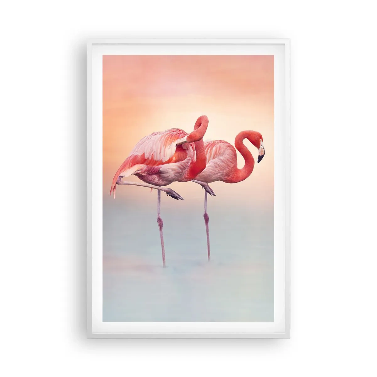 Plakat w białej ramie - W kolorze zachodzącego słońca - 61x91 cm