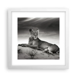 Plakat w białej ramie - Odpoczynek królowej pustyni - 30x30 cm