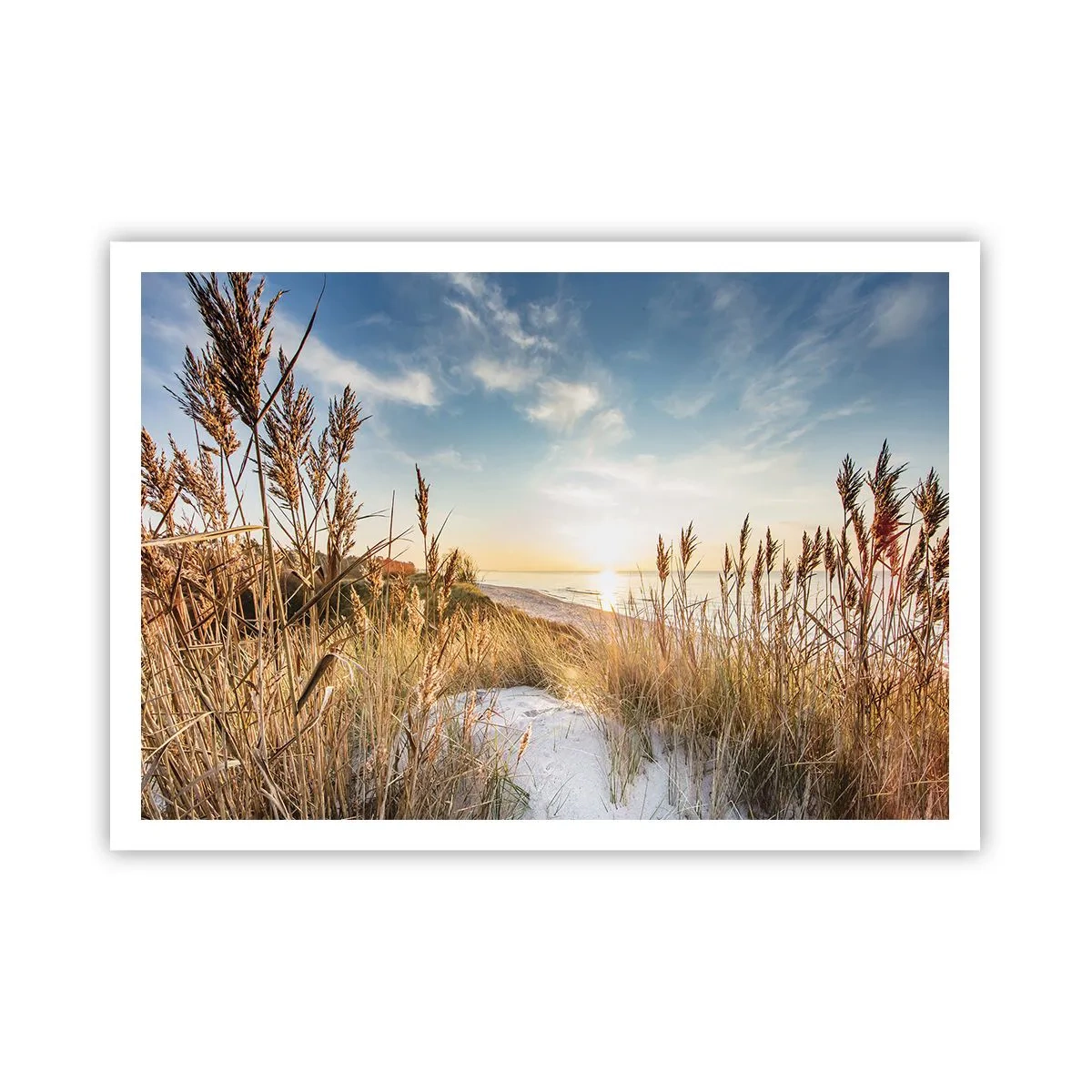 Plakat - Malownicza plaża z trawami i zachodzącym słońcem - 100x70cm - Północna plaża - Nowoczesna dekoracja ścienna do salonu i sypialni ARTTOR