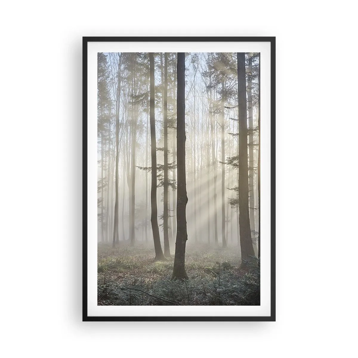 Plakat w czarnej ramie - Mgła też się zbudziła - 61x91 cm