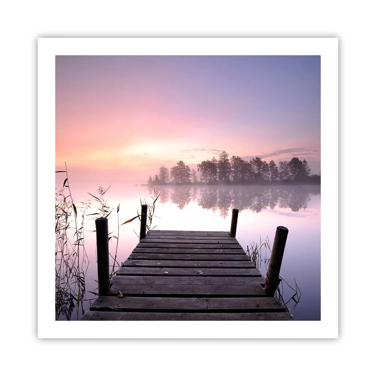 Plakat - Z liliowej mgły... - 60x60 cm
