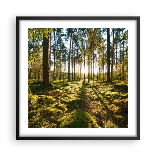 Plakat w czarnej ramie - …Za siedmioma lasami - 50x50 cm