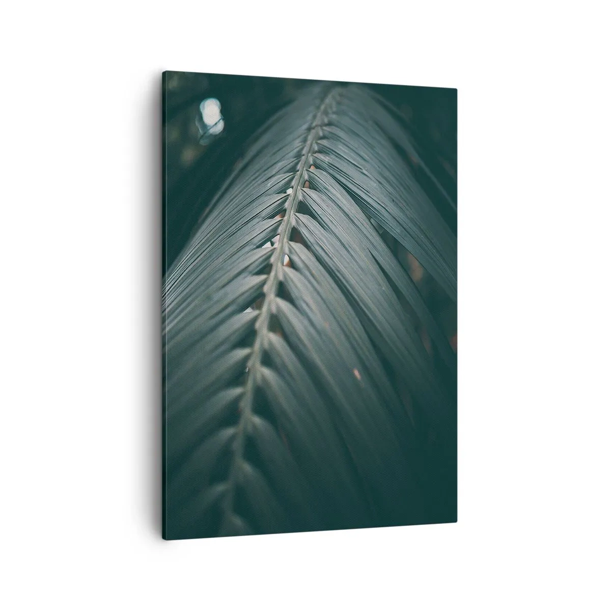 Obraz na płótnie - Zbliżenie na liść palmy z wyraźną strukturą i ciemnozielonymi odcieniami - 50x70cm - Precyzja natury - Nowoczesna dekoracja ścienna do salonu, kuchni i sypialni ARTTOR