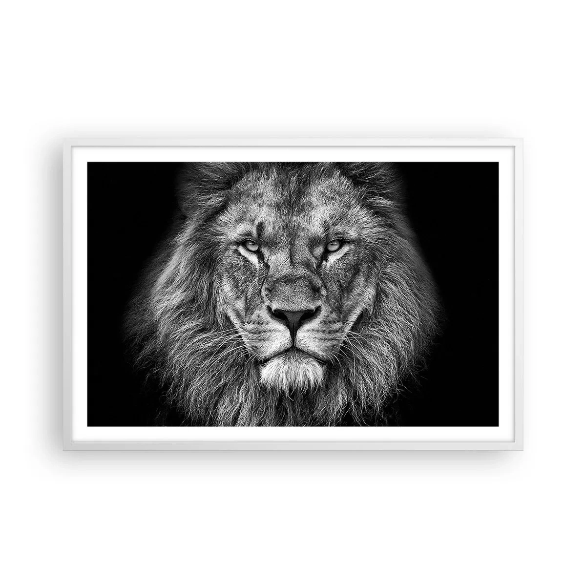 Plakat w białej ramie - W stroju koronacyjnym - 91x61 cm