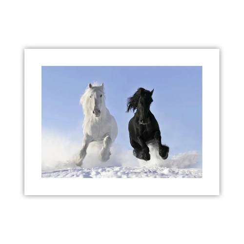 Plakat - Czarno-biały galop - 40x30 cm