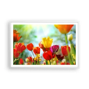 Plakat w białej ramie - Wszystkie barwy słońca - 91x61 cm